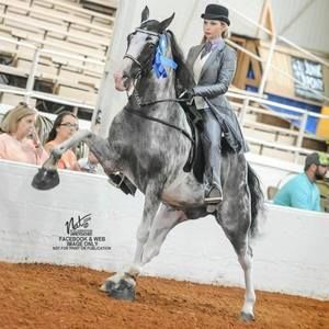 Meet your Posher, Shana